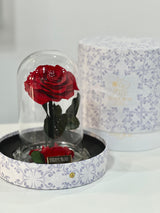 Ever Amour Red Infinity Rose