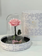 Forever Fleur Pink Infinity Rose