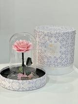 Forever Fleur Pink Infinity Rose