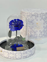 Petale Eternelle Blue Infinity Rose