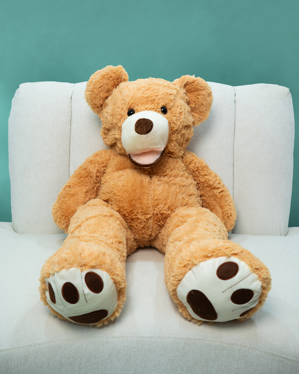 Teddy Bear Dubai