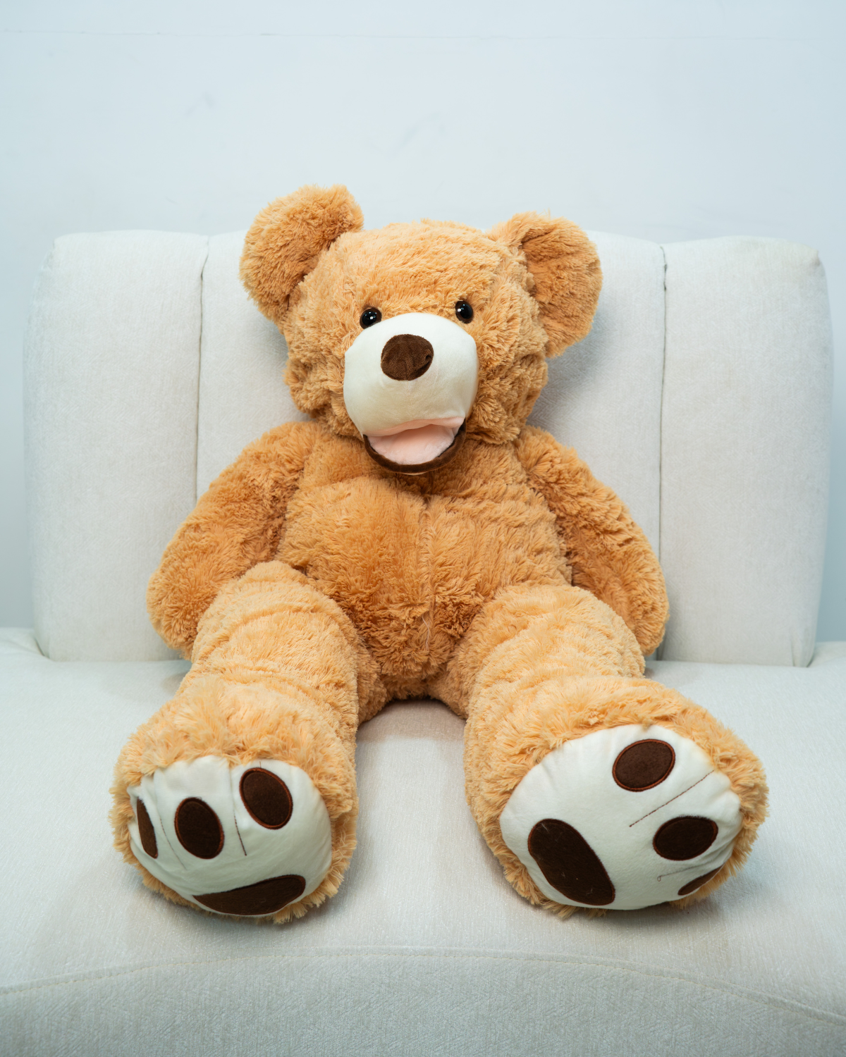 Teddy Bear Dubai