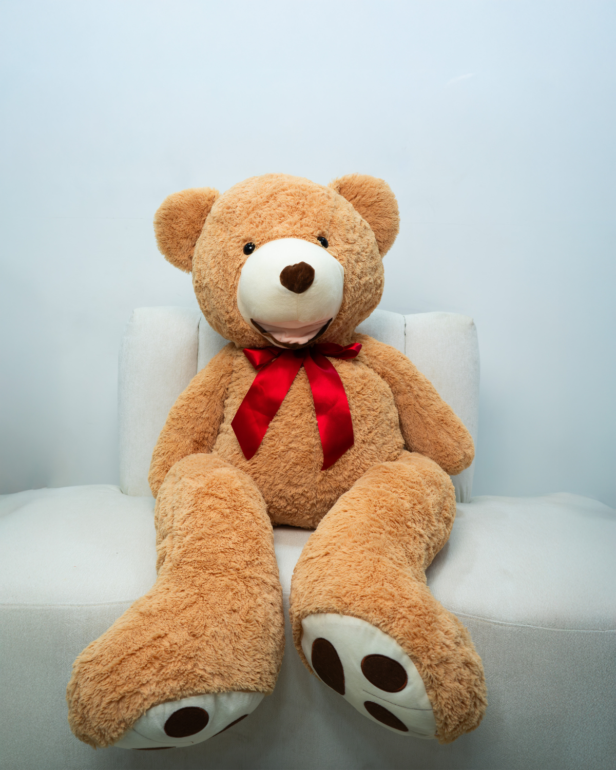 Teddy Bear Dubai