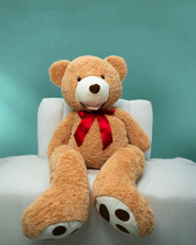 Teddy Bear Dubai